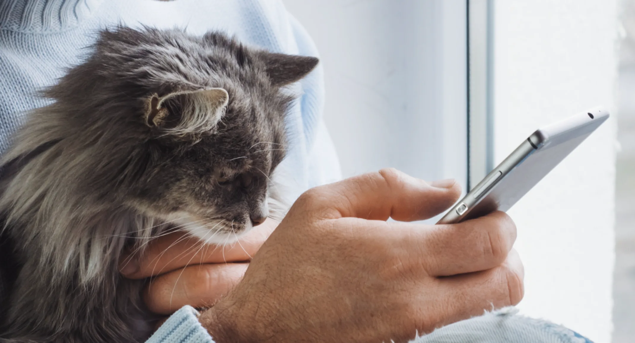 A man holding a phone and his cat
